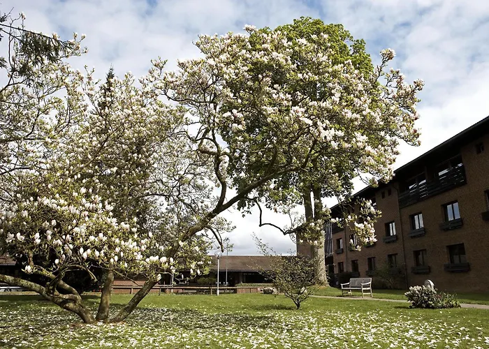 Munkebjerg Hotel Vejle
