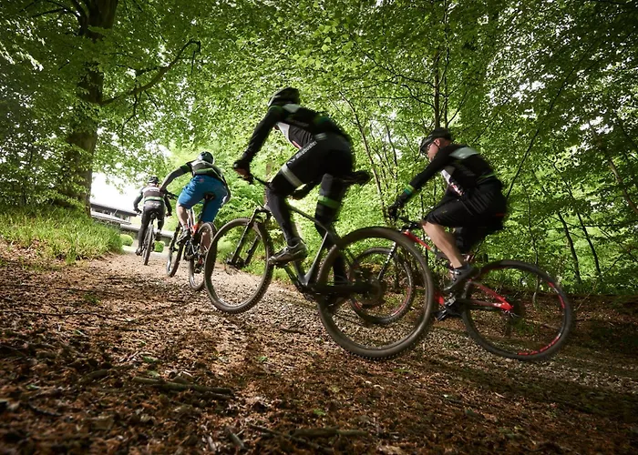 Munkebjerg 4* Βέιλε